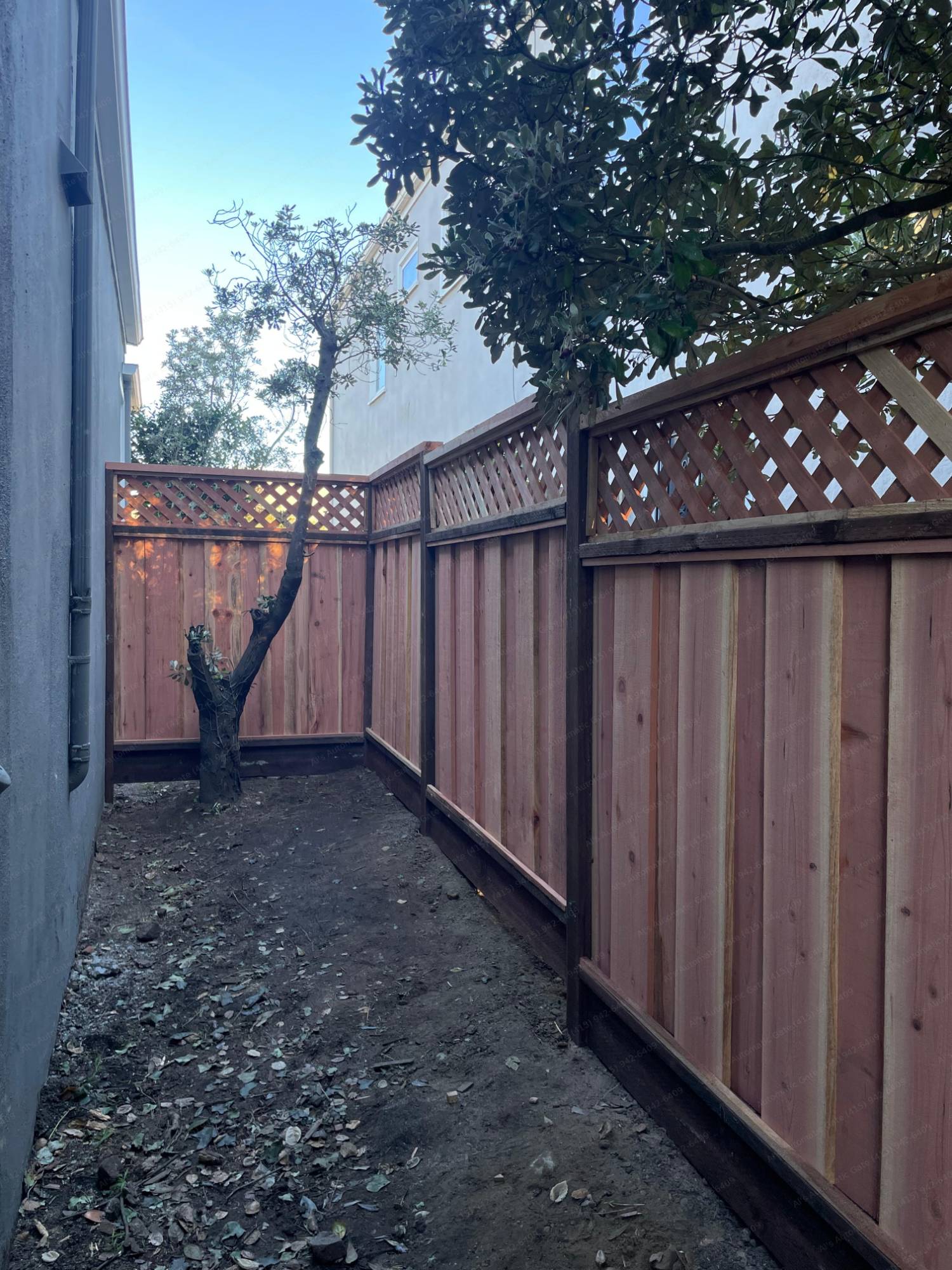 Redwood privacy fence with lattice top